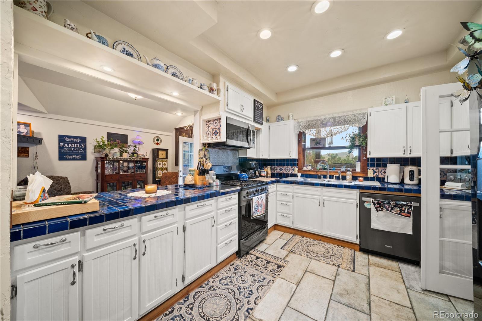 MLS Image #16 for 2400  county road 43 ,bailey, Colorado