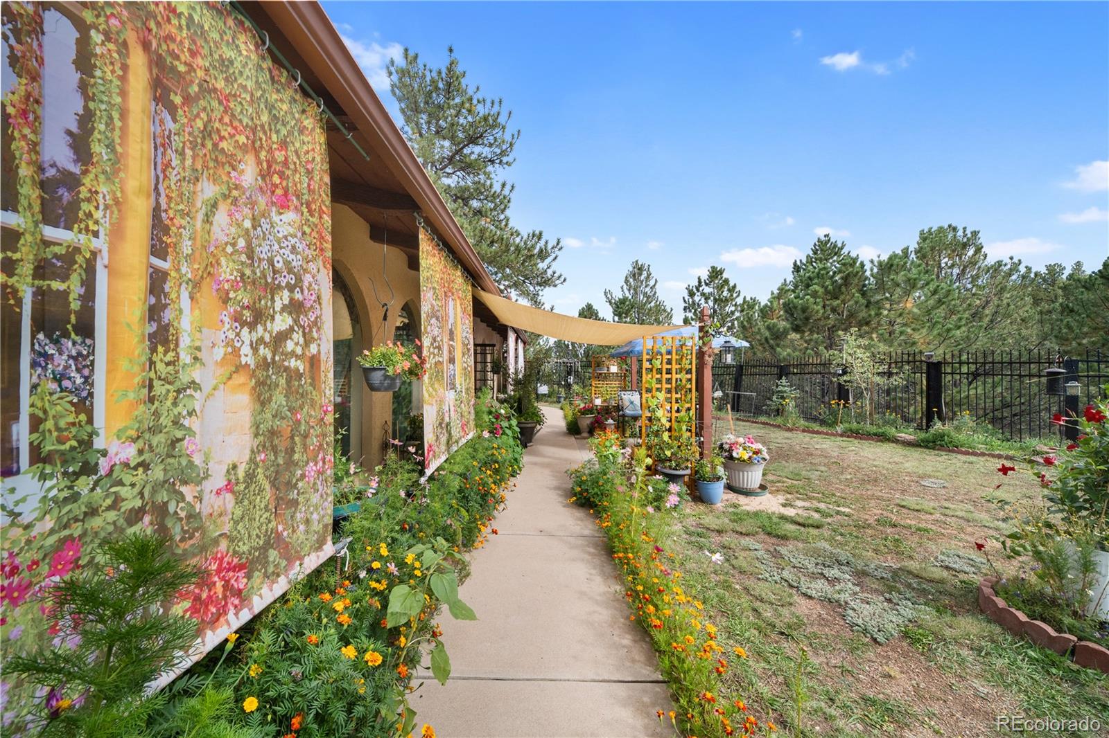 MLS Image #2 for 2400  county road 43 ,bailey, Colorado