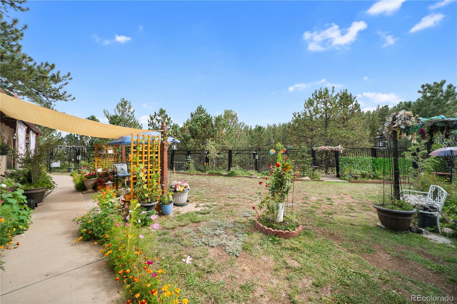 MLS Image #3 for 2400  county road 43 ,bailey, Colorado