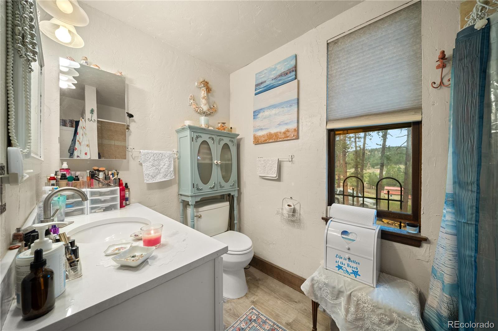MLS Image #31 for 2400  county road 43 ,bailey, Colorado