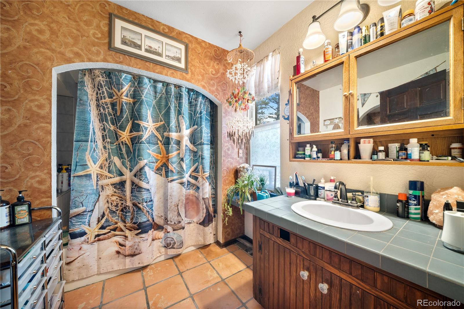 MLS Image #36 for 2400  county road 43 ,bailey, Colorado