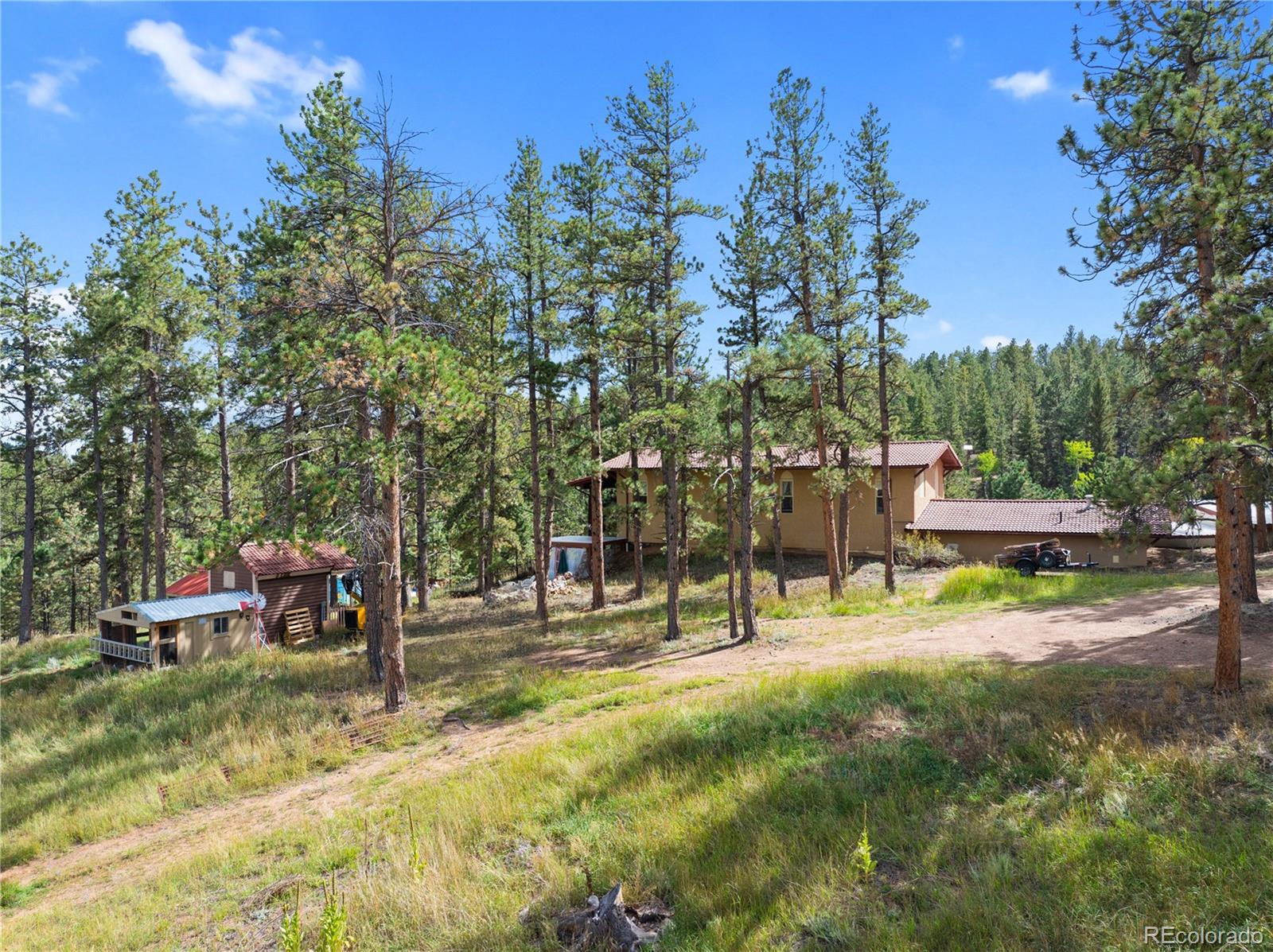 MLS Image #39 for 2400  county road 43 ,bailey, Colorado