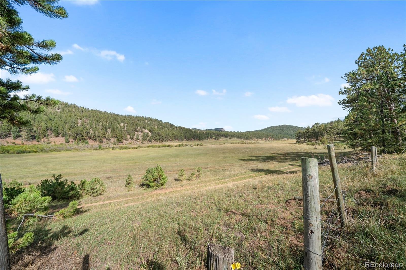 MLS Image #40 for 2400  county road 43 ,bailey, Colorado