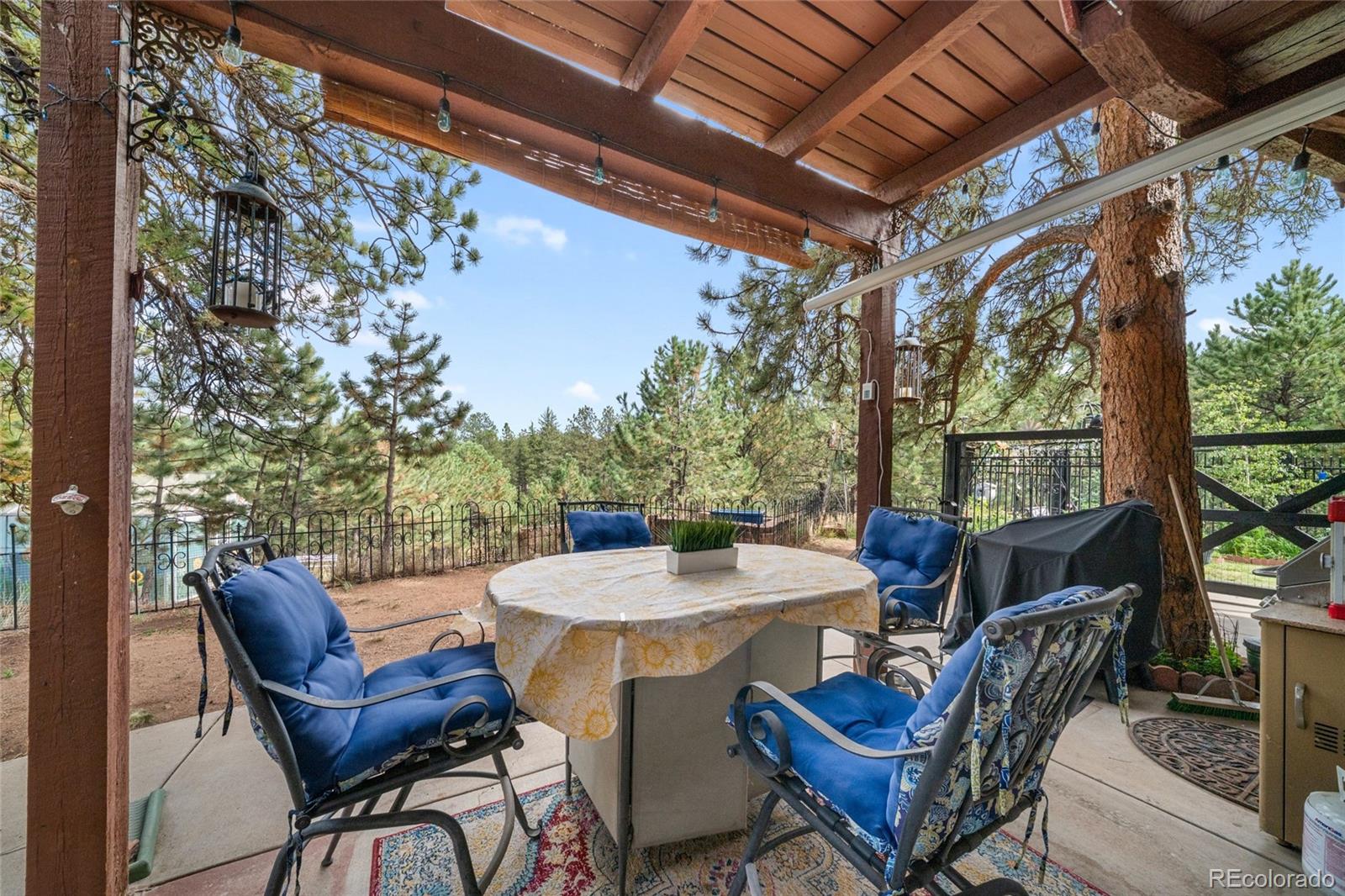 MLS Image #44 for 2400  county road 43 ,bailey, Colorado