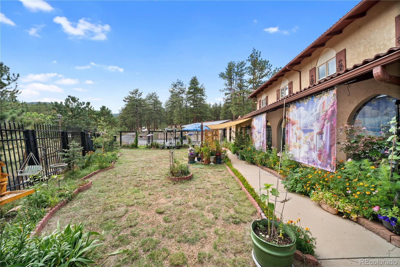 MLS Image #5 for 2400  county road 43 ,bailey, Colorado
