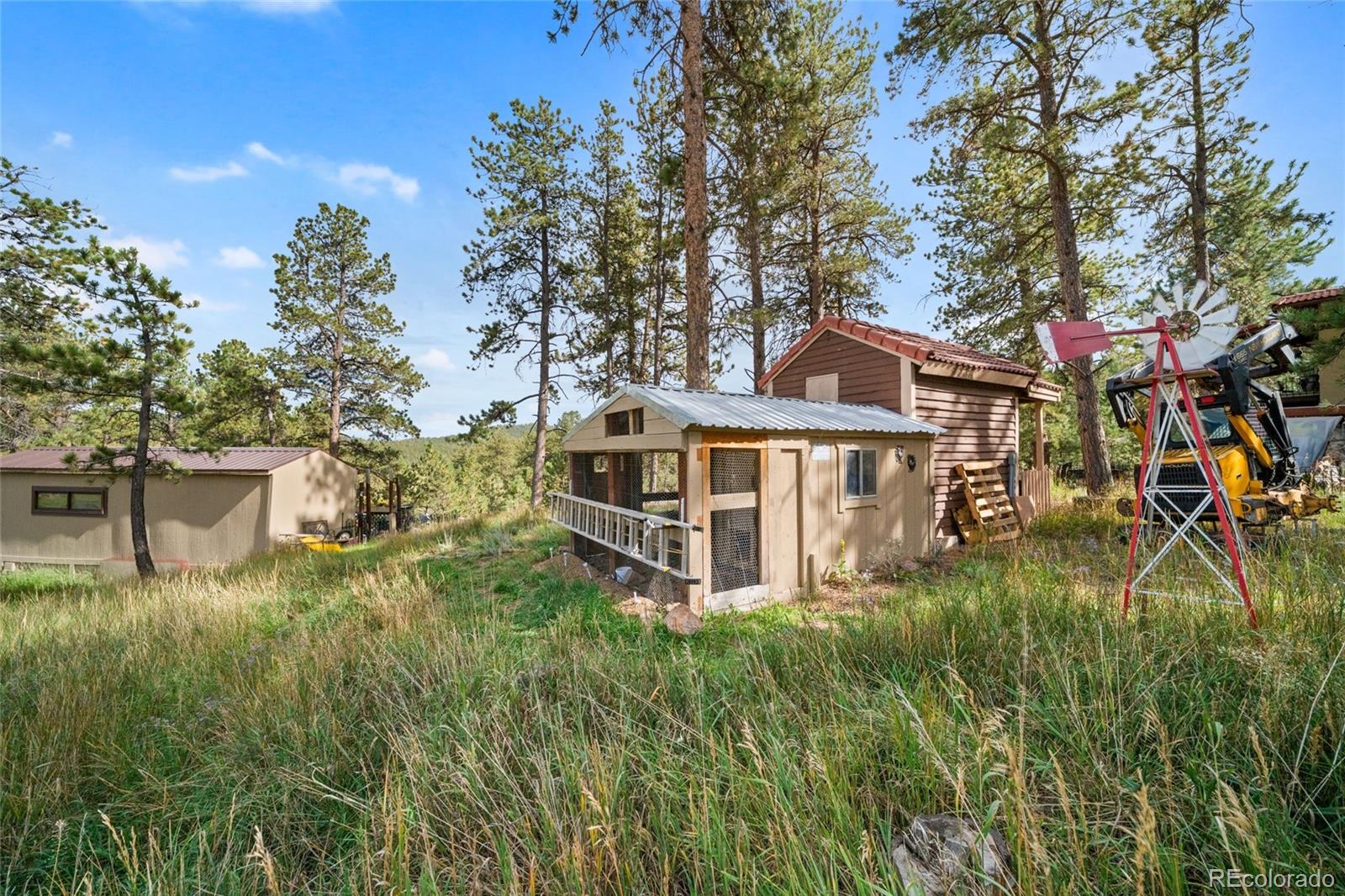 MLS Image #9 for 2400  county road 43 ,bailey, Colorado