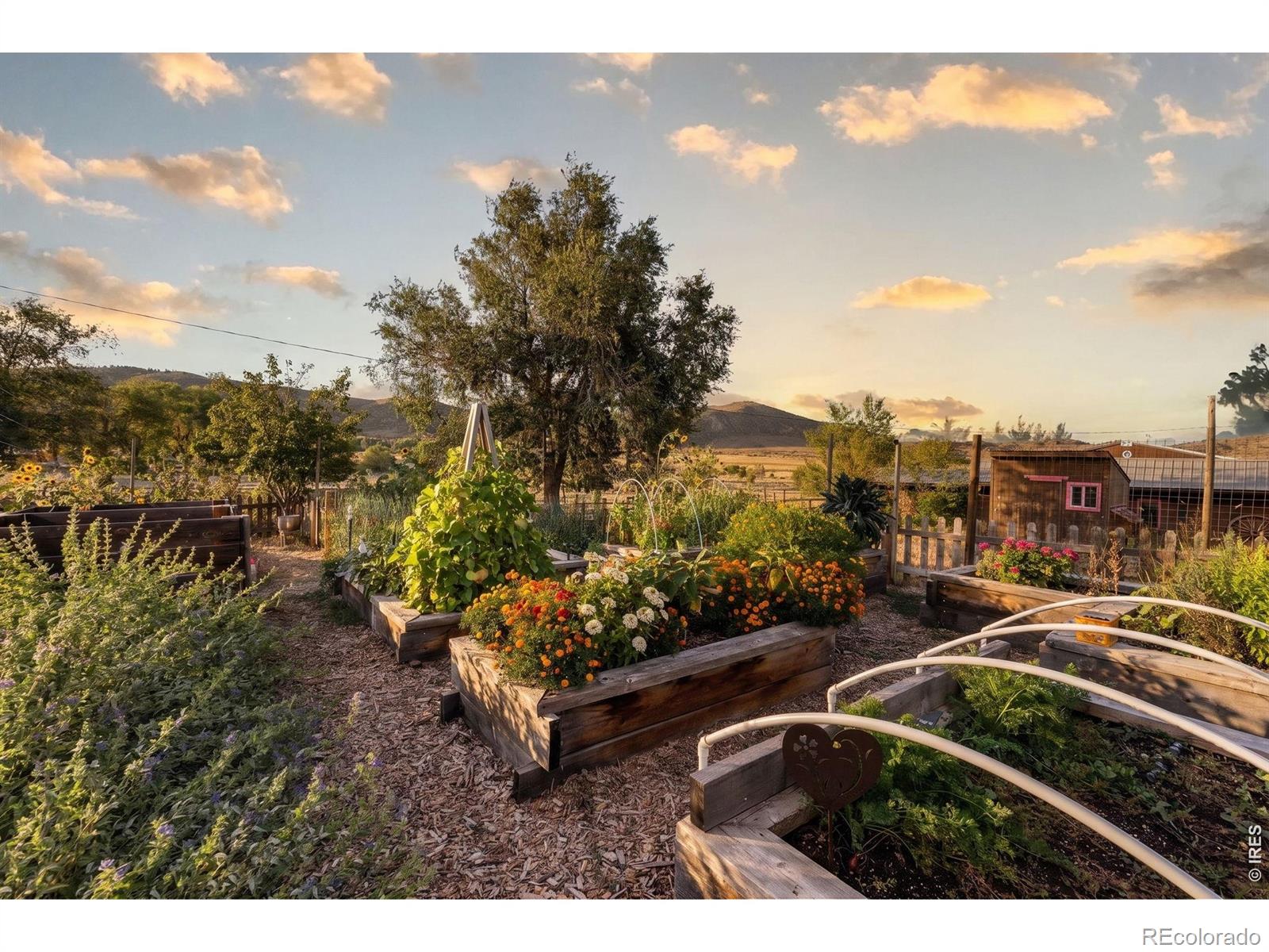 MLS Image #36 for 6016 n county road 29c ,bellvue, Colorado