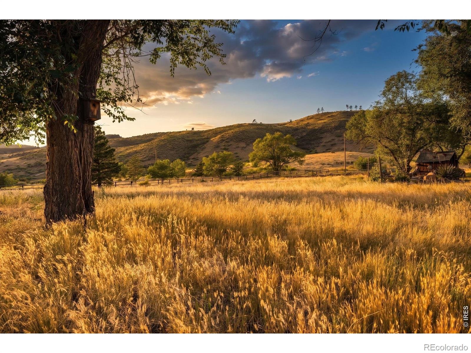MLS Image #40 for 6016 n county road 29c ,bellvue, Colorado