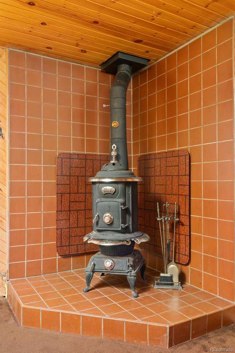 MLS Image #38 for 26  tejas lane,nederland, Colorado