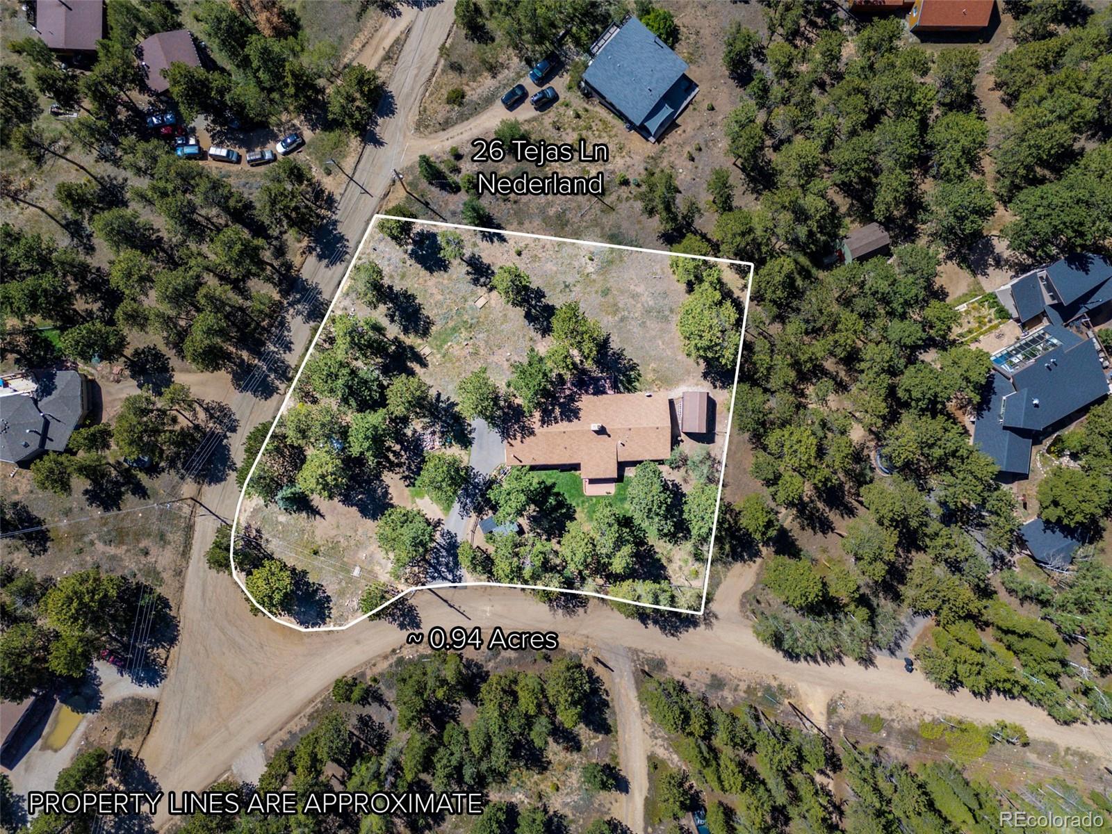 MLS Image #6 for 26  tejas lane,nederland, Colorado