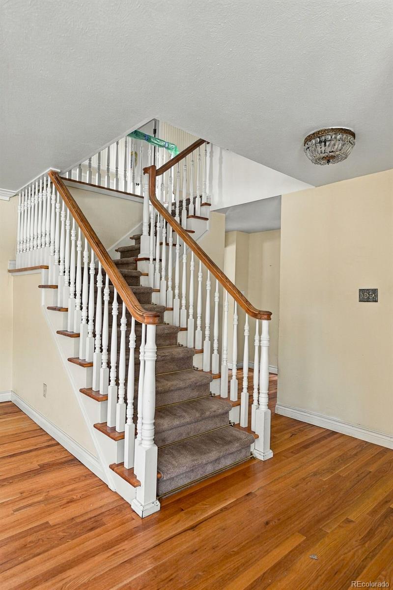 MLS Image #23 for 3700 s roslyn way,denver, Colorado