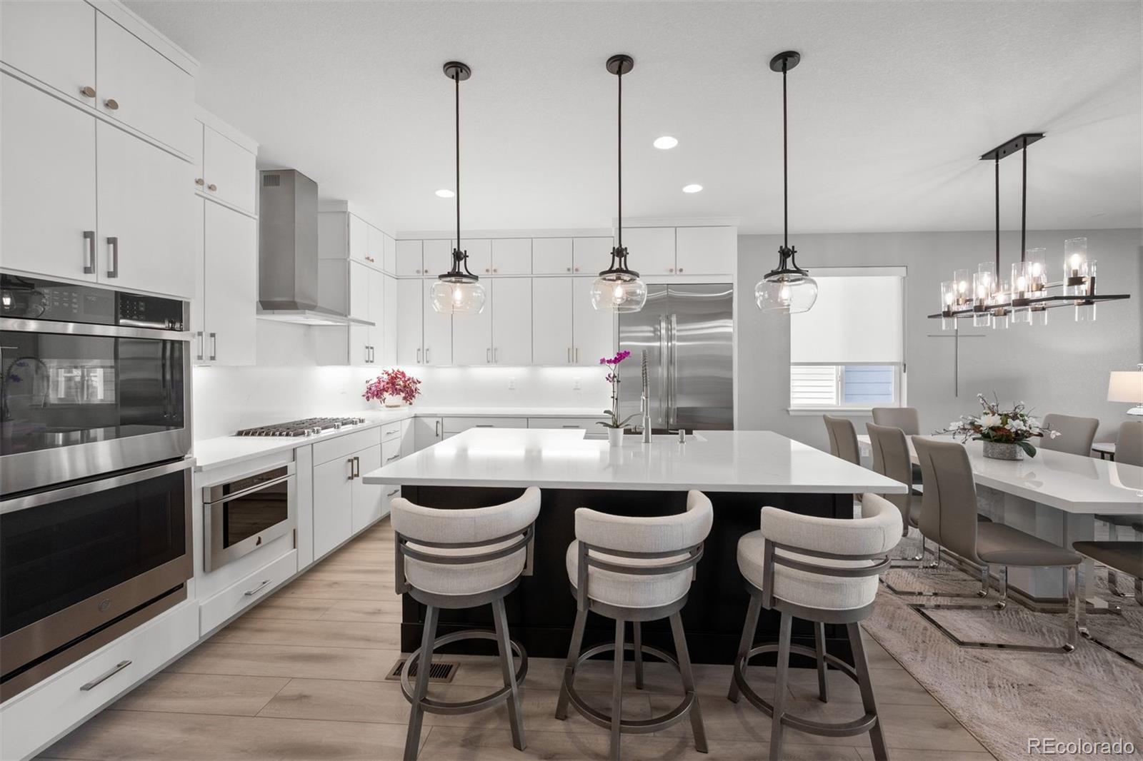 MLS Image #2 for 8896  snake river street,littleton, Colorado