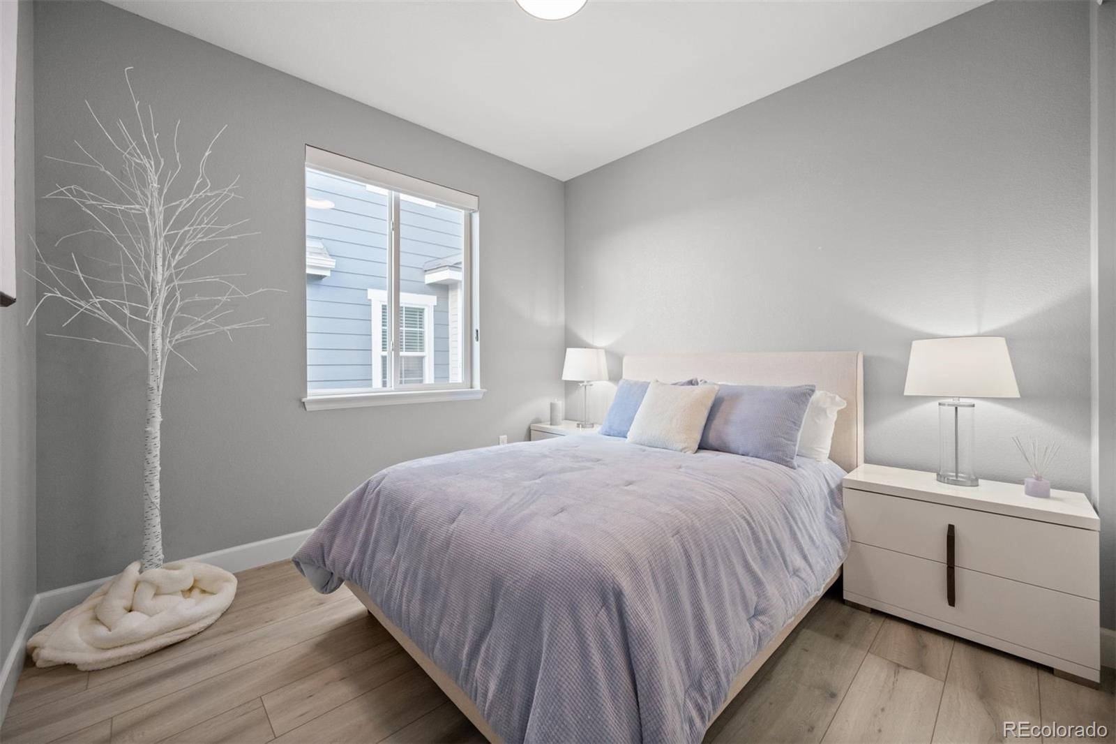 MLS Image #8 for 8896  snake river street,littleton, Colorado