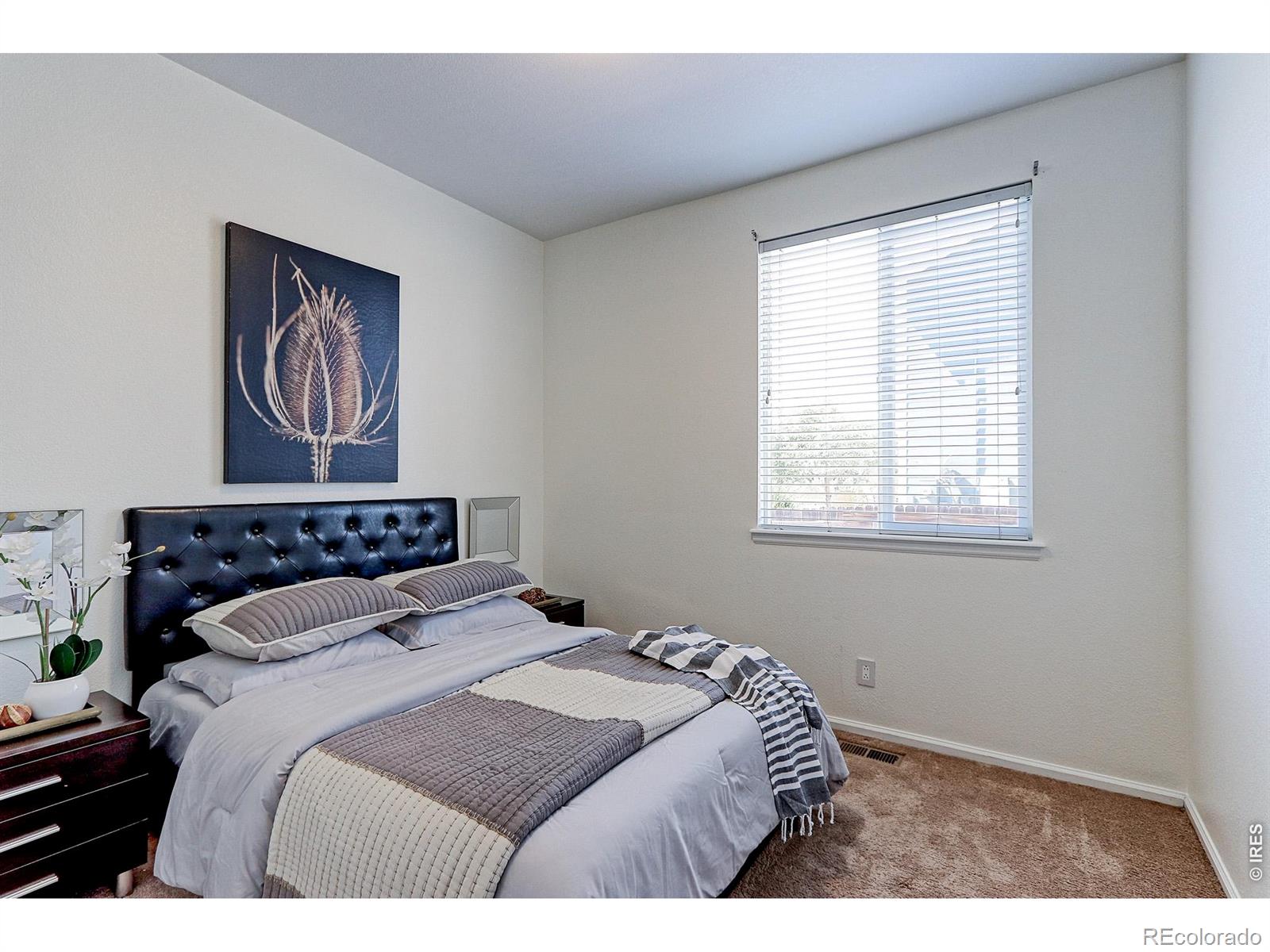 MLS Image #20 for 13601  krameria street,thornton, Colorado