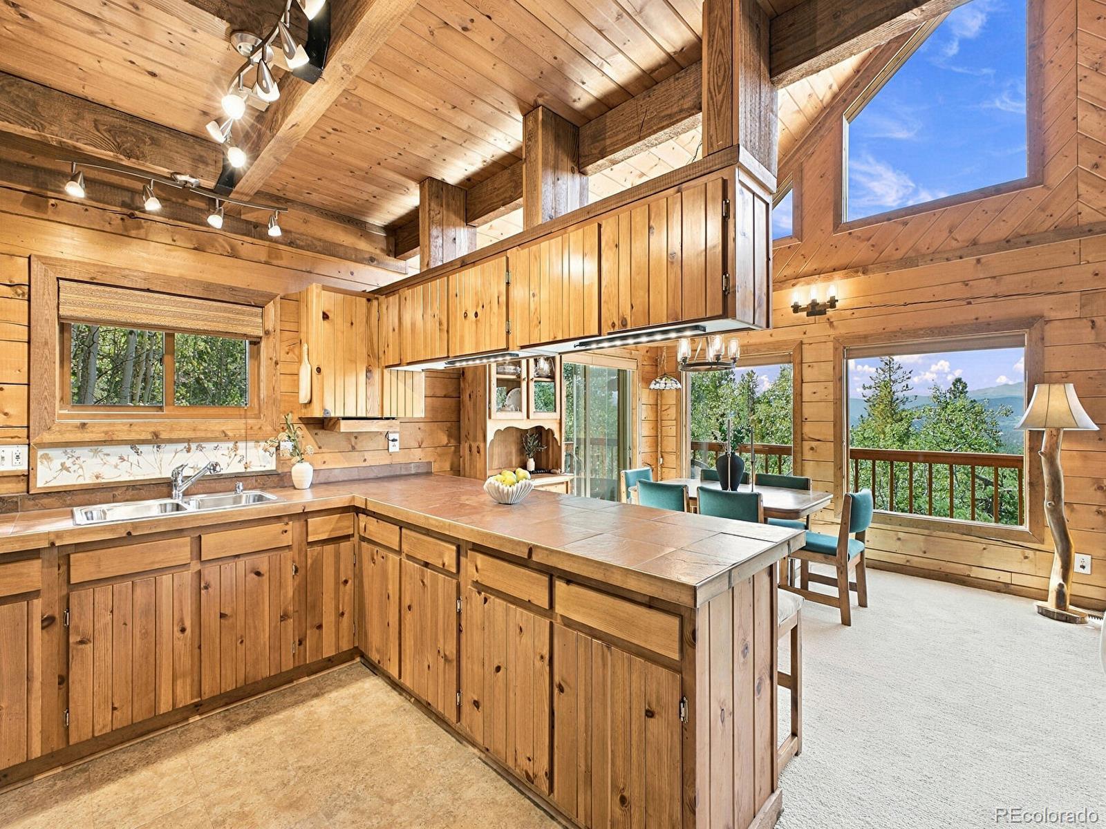 MLS Image #10 for 760  coyote circle,black hawk, Colorado