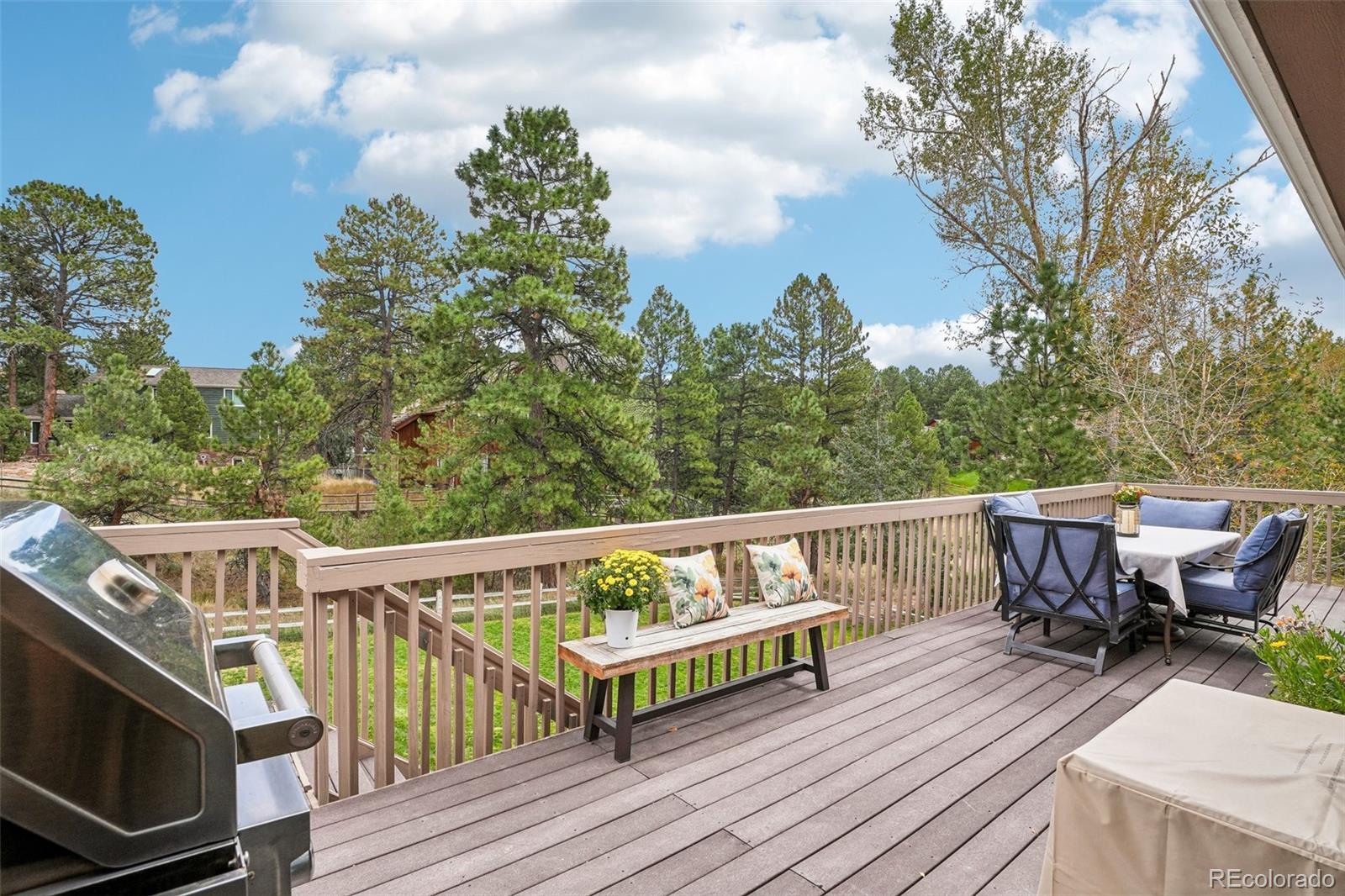 MLS Image #32 for 6206  coronado place,parker, Colorado