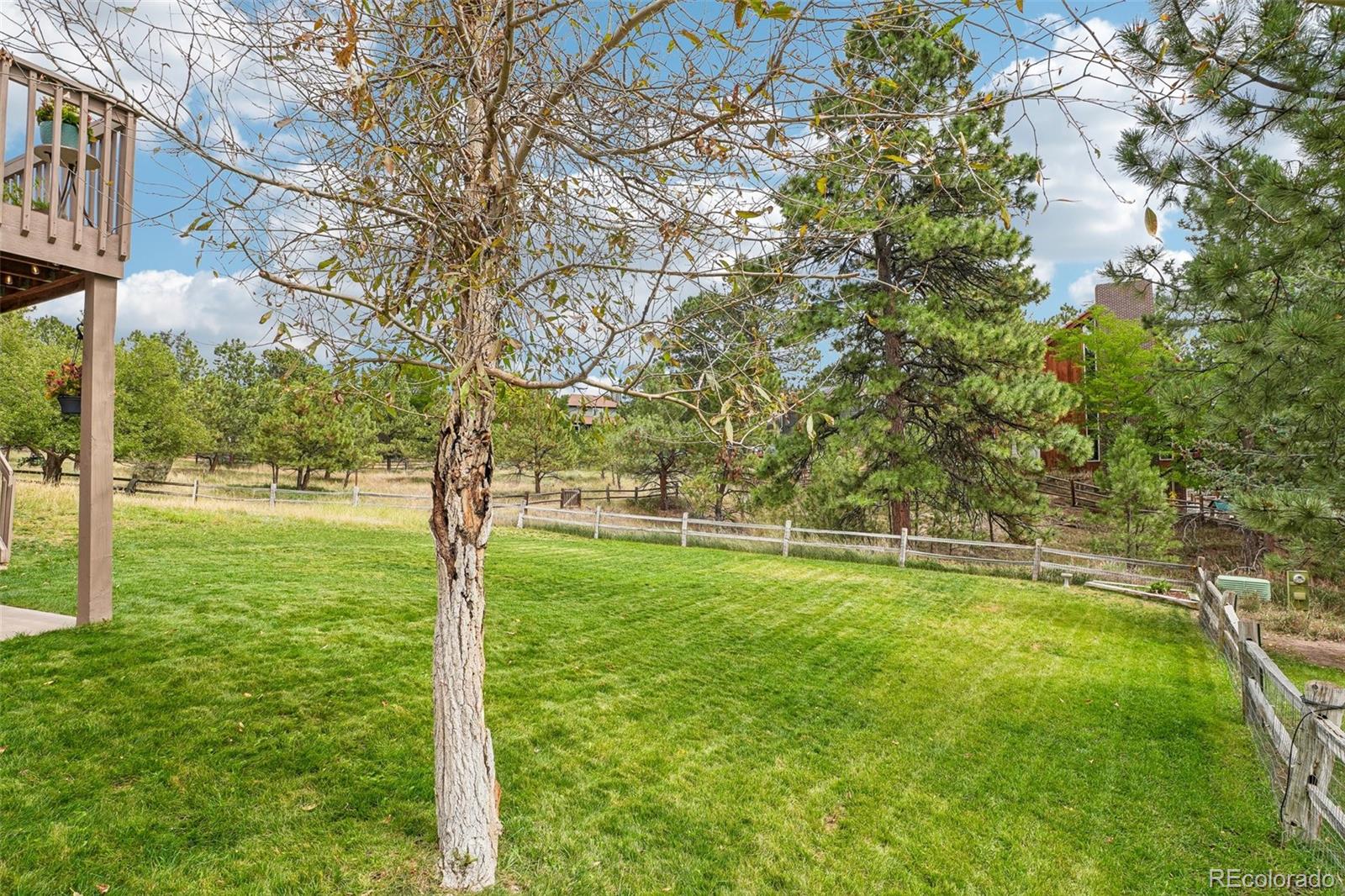 MLS Image #35 for 6206  coronado place,parker, Colorado