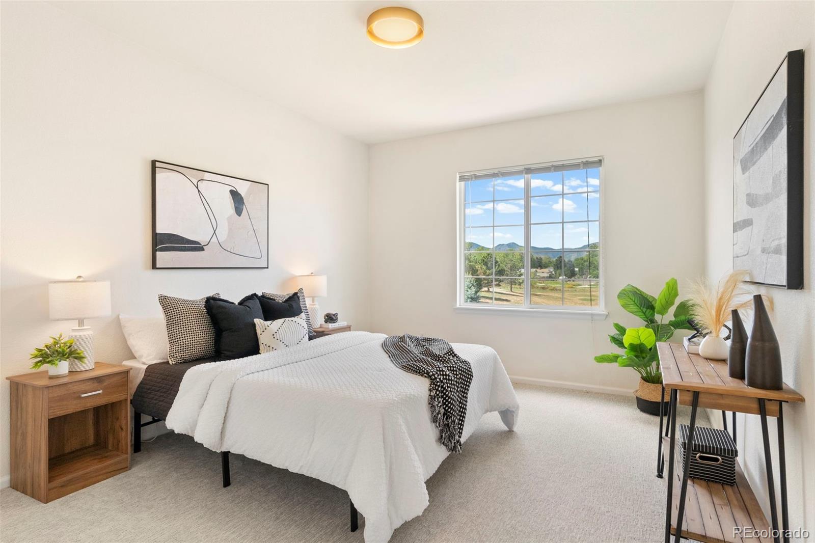 MLS Image #3 for 4451 s ammons street,denver, Colorado