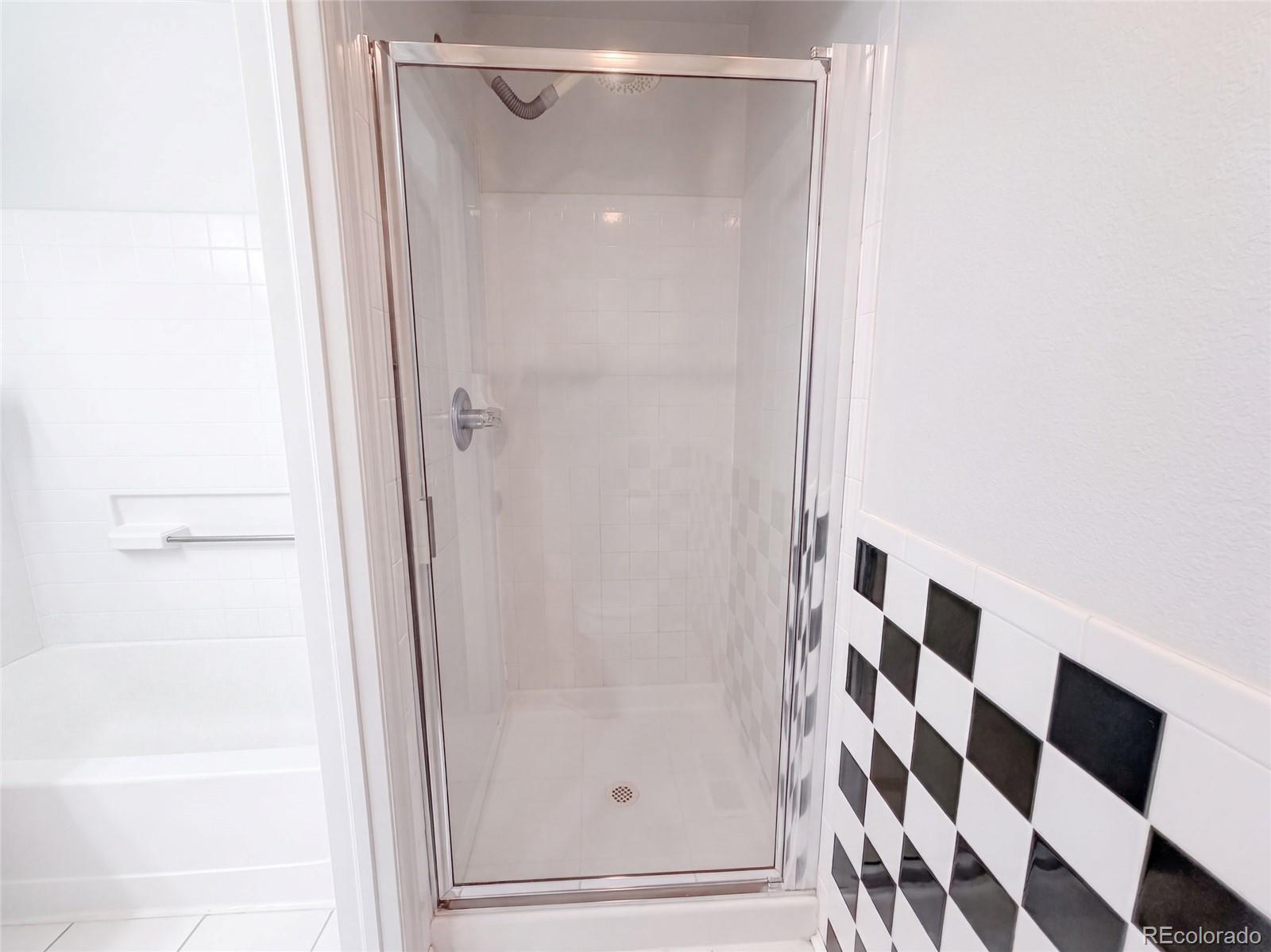 MLS Image #11 for 10009  strathfield lane,highlands ranch, Colorado