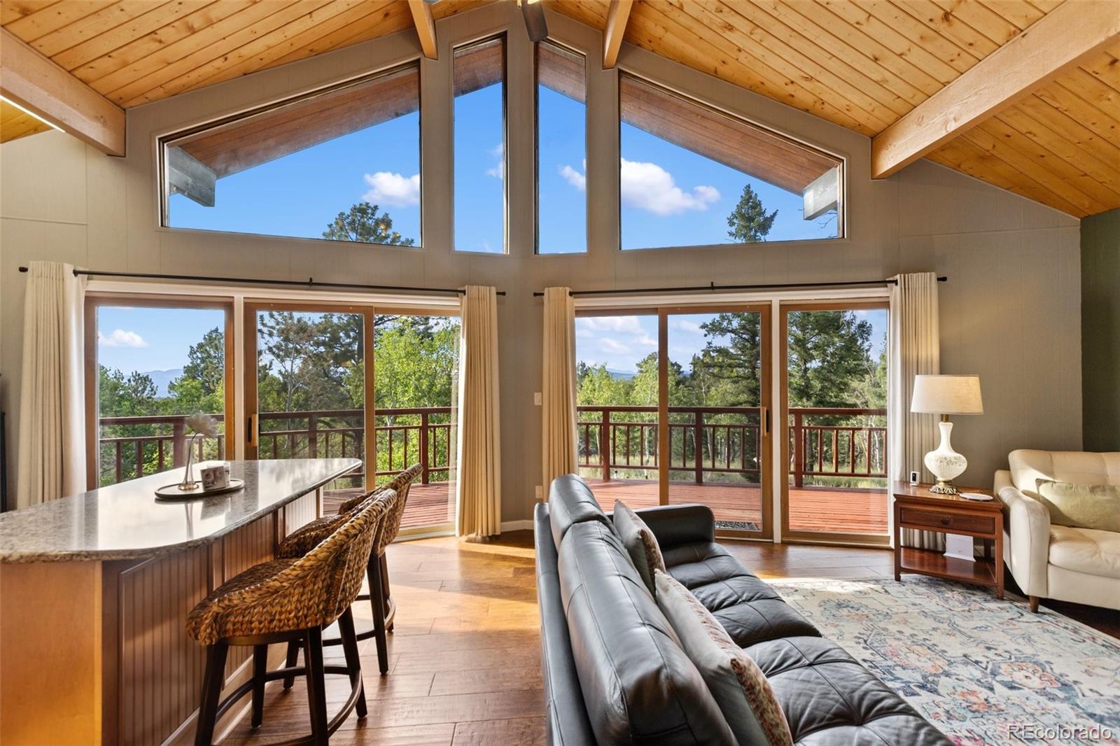 MLS Image #10 for 307  berylium road,florissant, Colorado