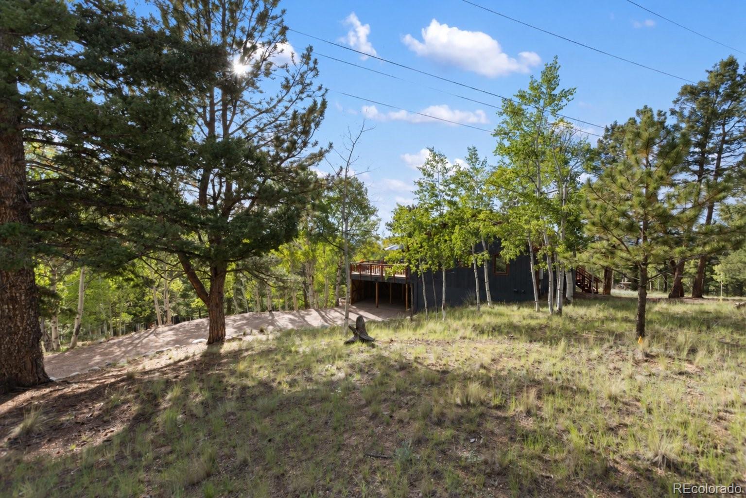 MLS Image #42 for 307  berylium road,florissant, Colorado