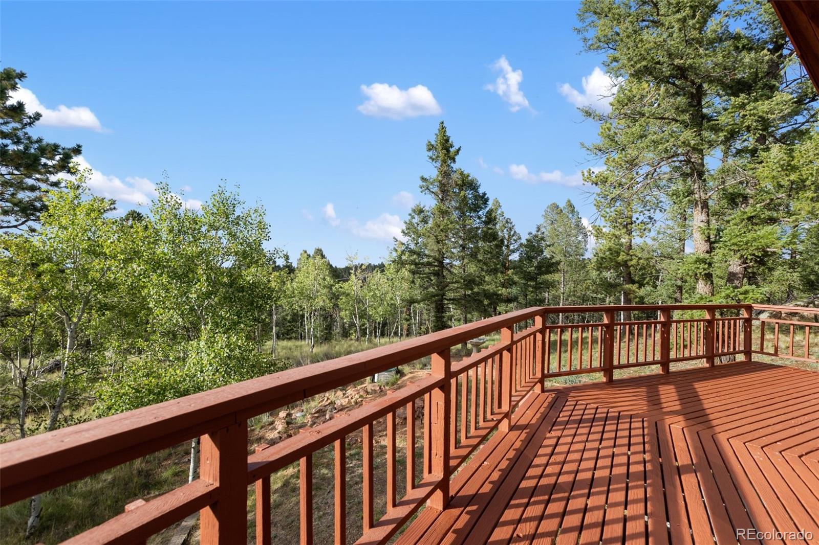 MLS Image #45 for 307  berylium road,florissant, Colorado
