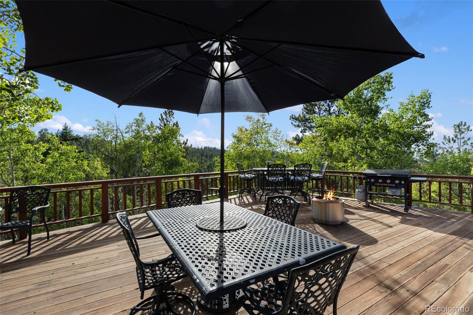MLS Image #48 for 307  berylium road,florissant, Colorado