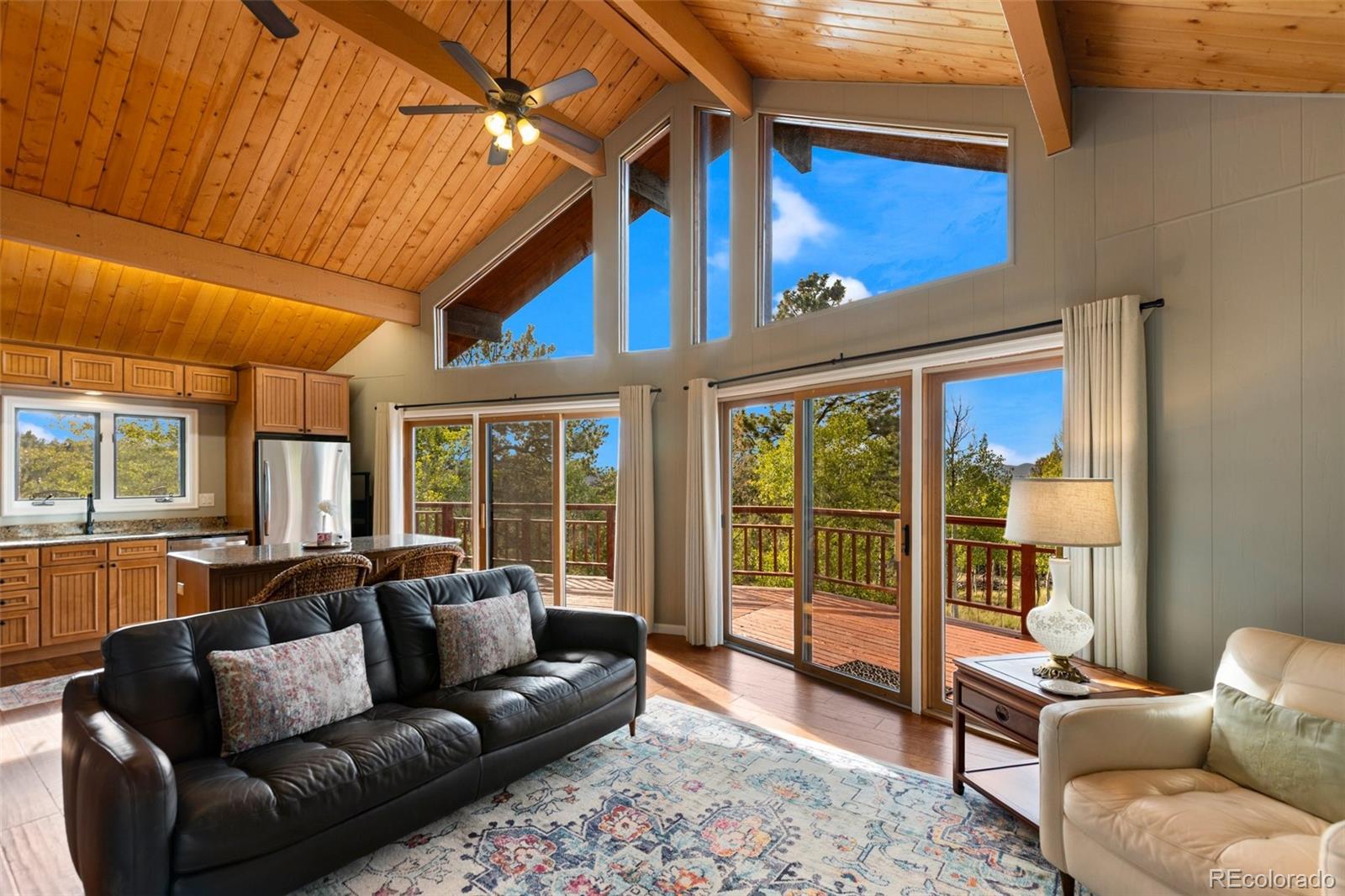 MLS Image #6 for 307  berylium road,florissant, Colorado