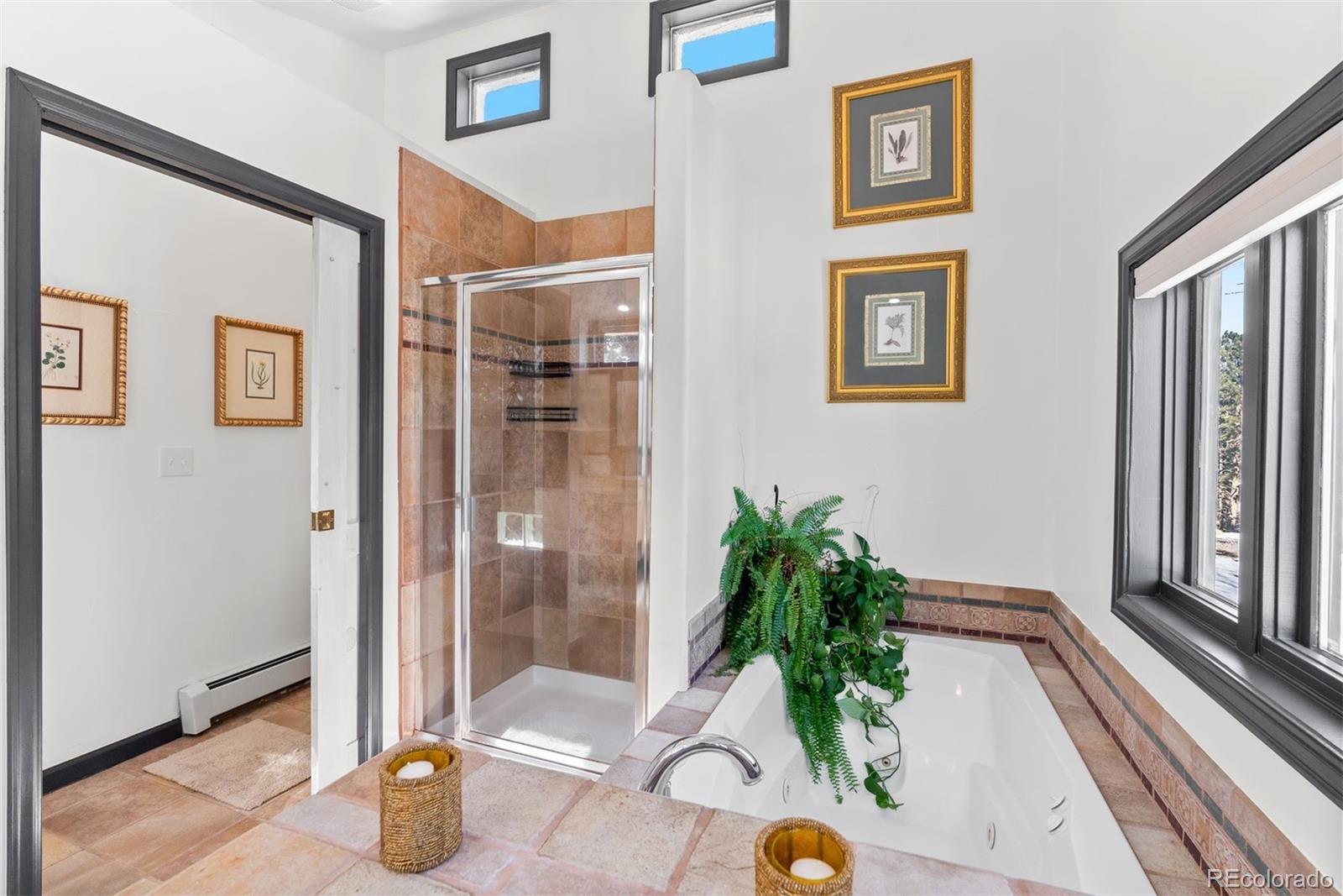 MLS Image #19 for 1053  red moon road,evergreen, Colorado