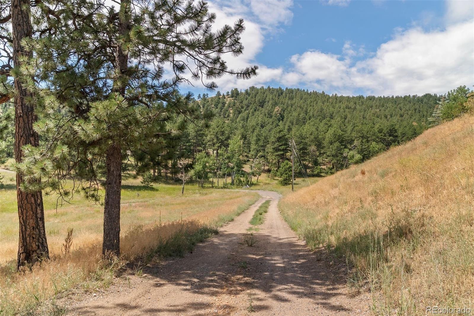 MLS Image #28 for 1053  red moon road,evergreen, Colorado