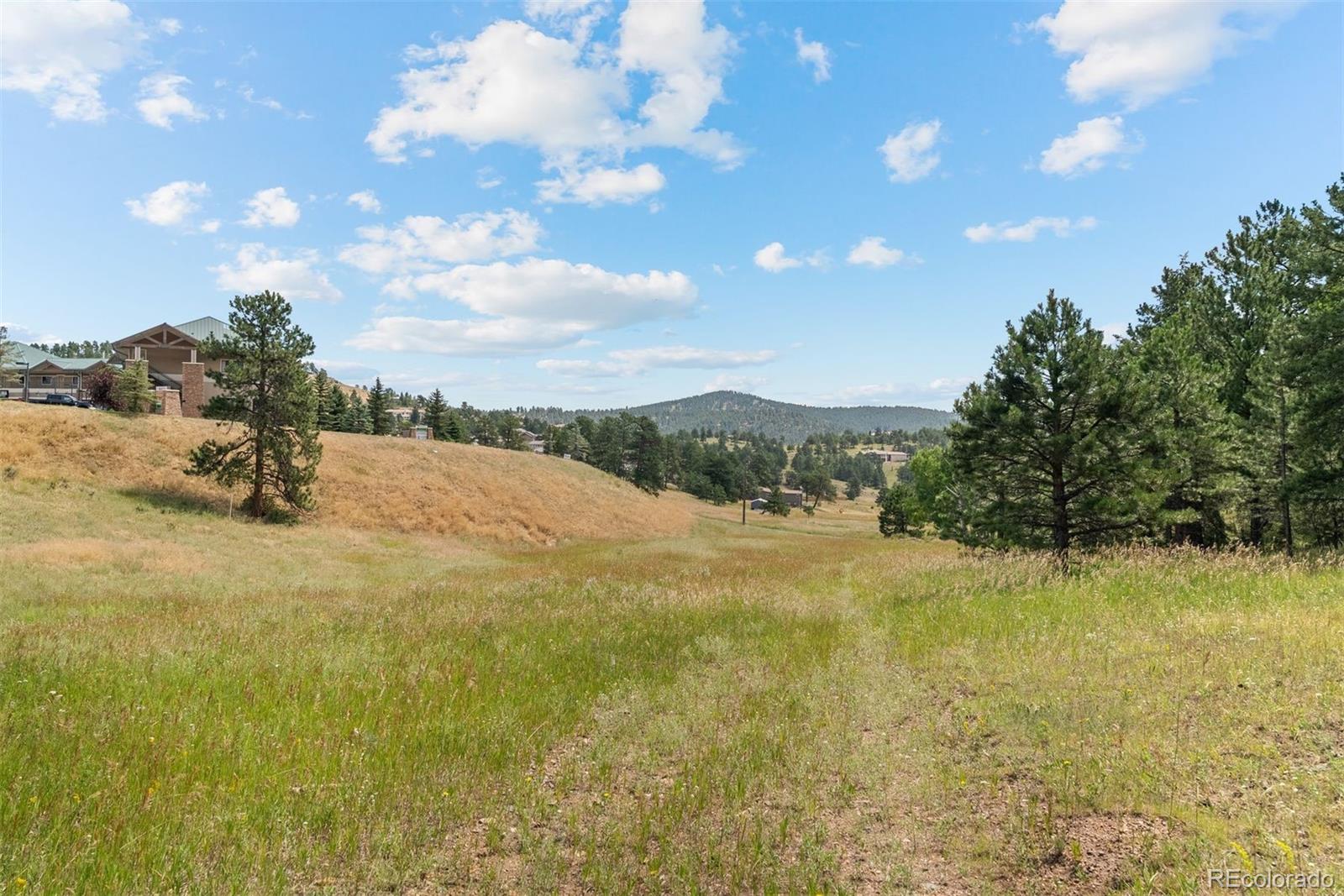 MLS Image #29 for 1053  red moon road,evergreen, Colorado