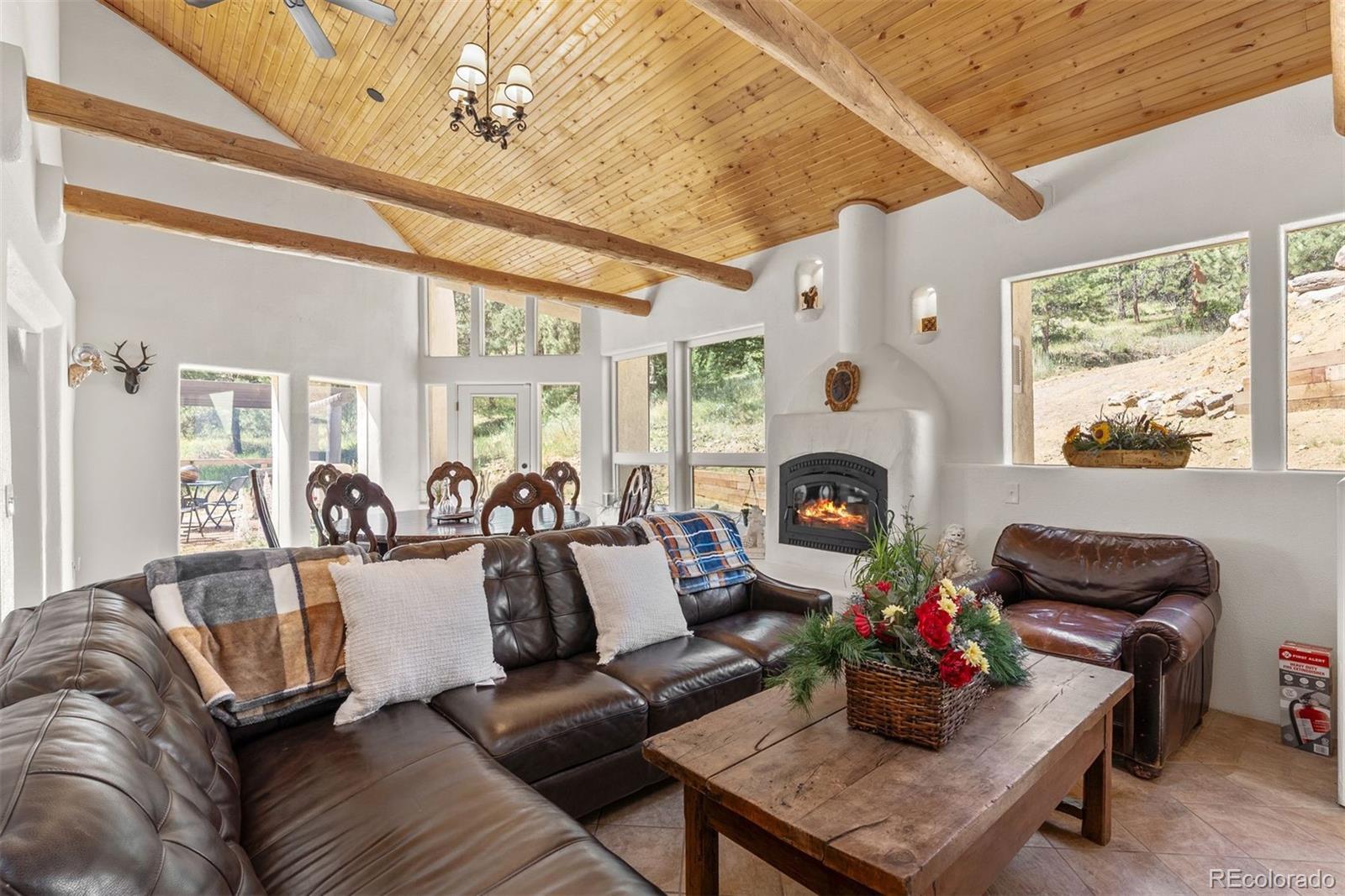 MLS Image #9 for 1053  red moon road,evergreen, Colorado