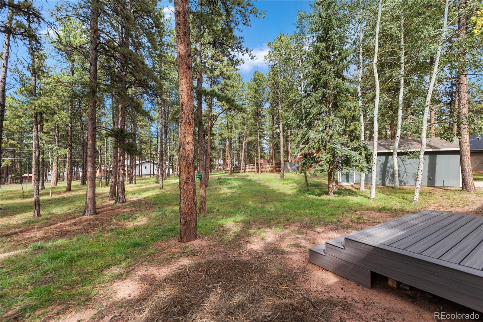 MLS Image #4 for 450  county road road,woodland park, Colorado