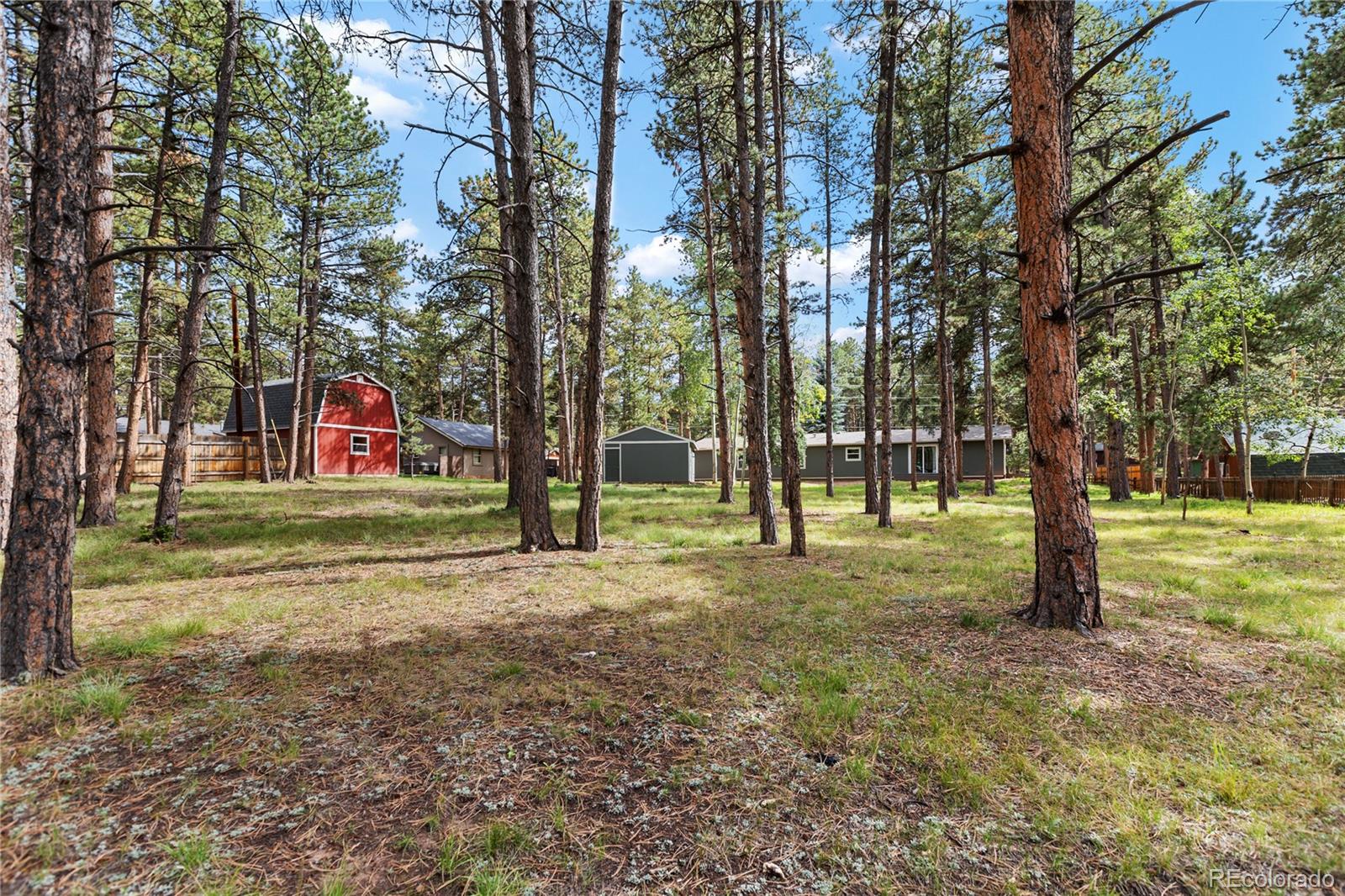 MLS Image #42 for 450  county road road,woodland park, Colorado