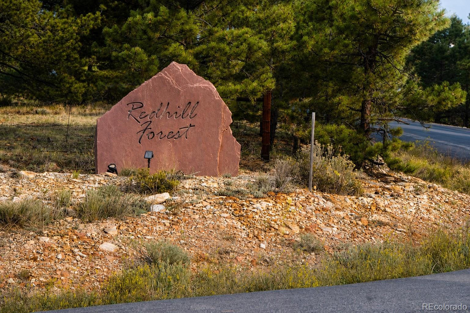 MLS Image #2 for 2271  redhill road,fairplay, Colorado