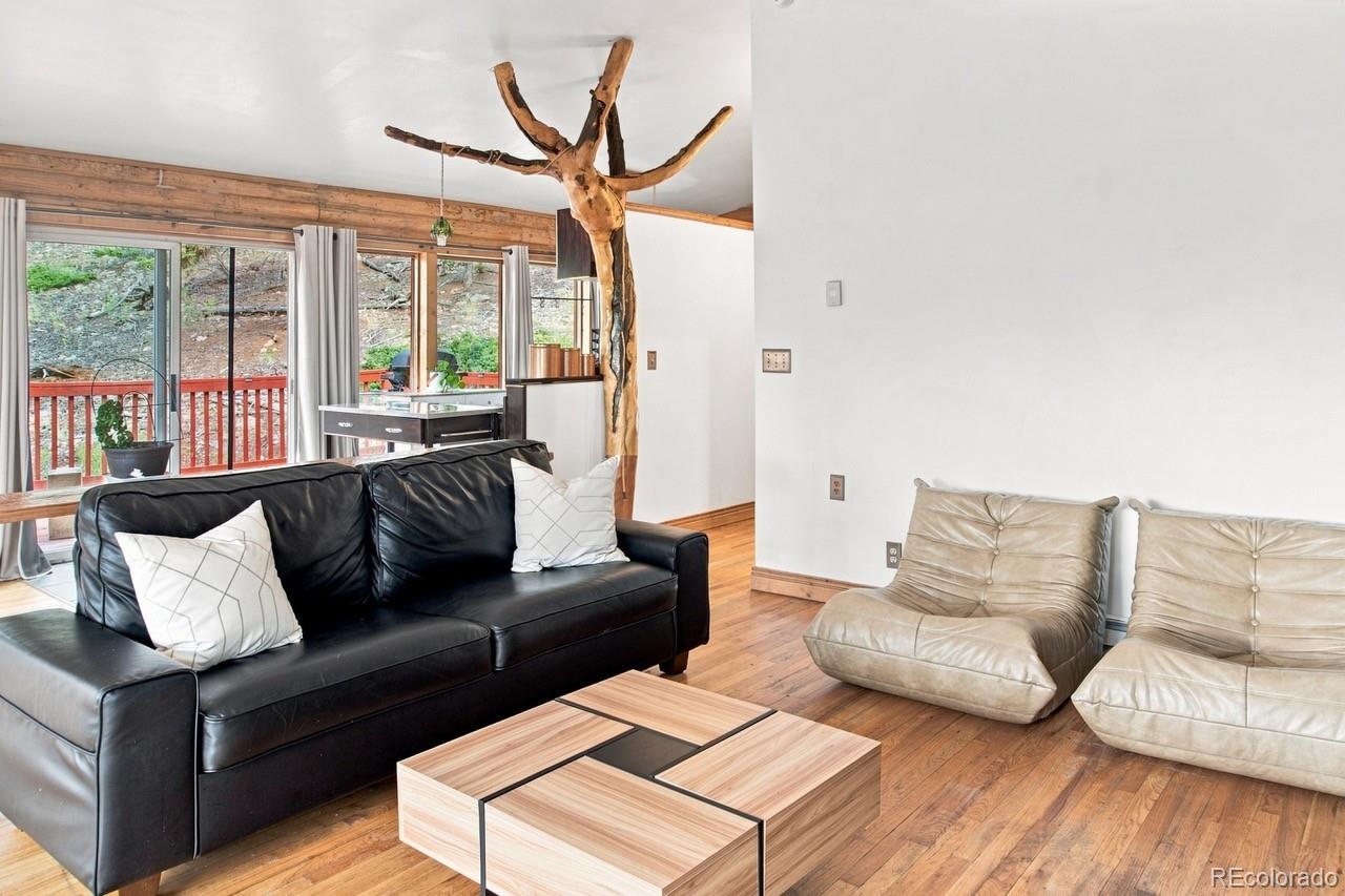 MLS Image #4 for 2271  redhill road,fairplay, Colorado