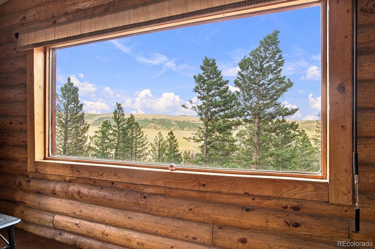 MLS Image #7 for 2271  redhill road,fairplay, Colorado