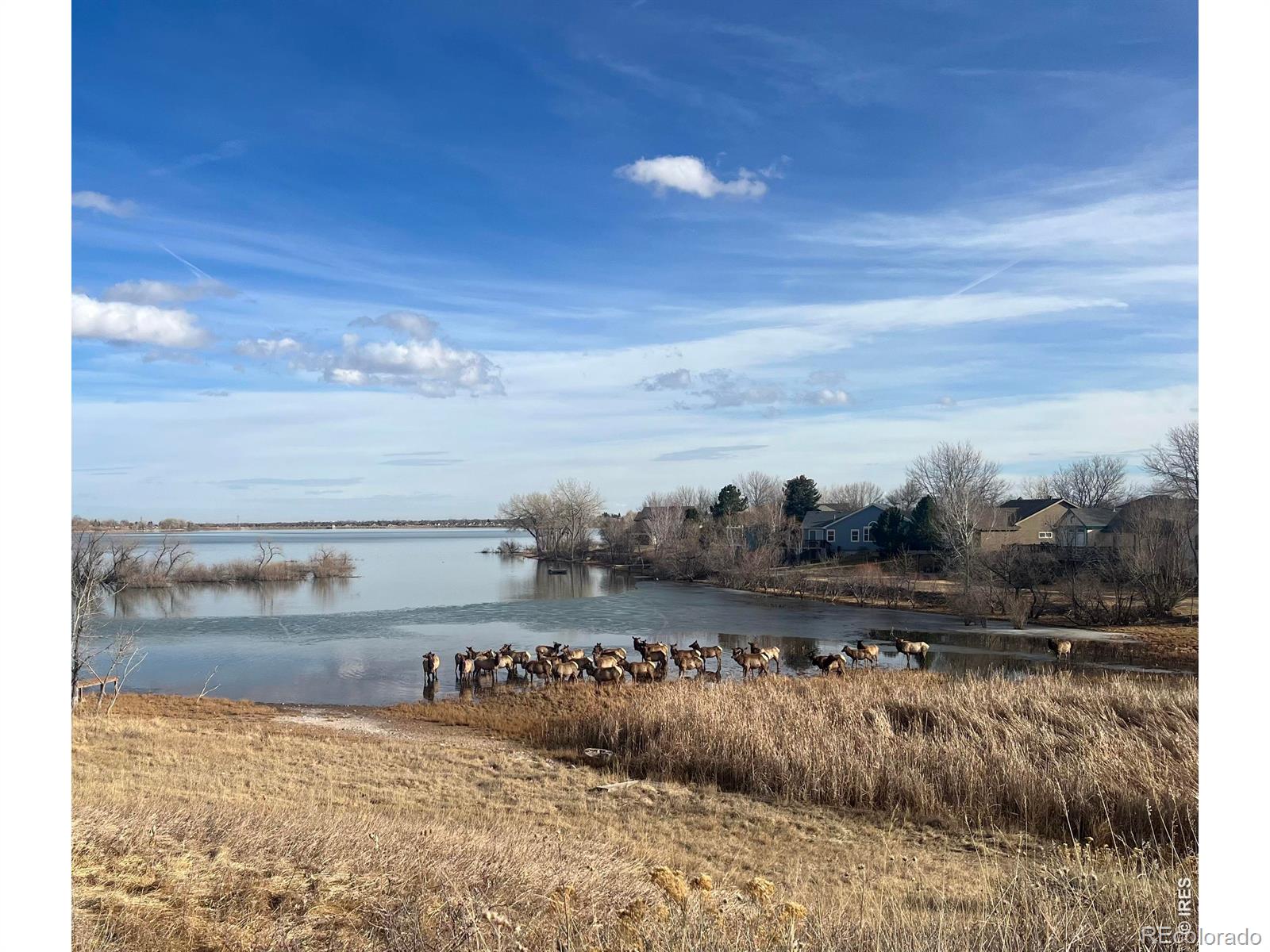 MLS Image #46 for 5416  ferryboat court,loveland, Colorado