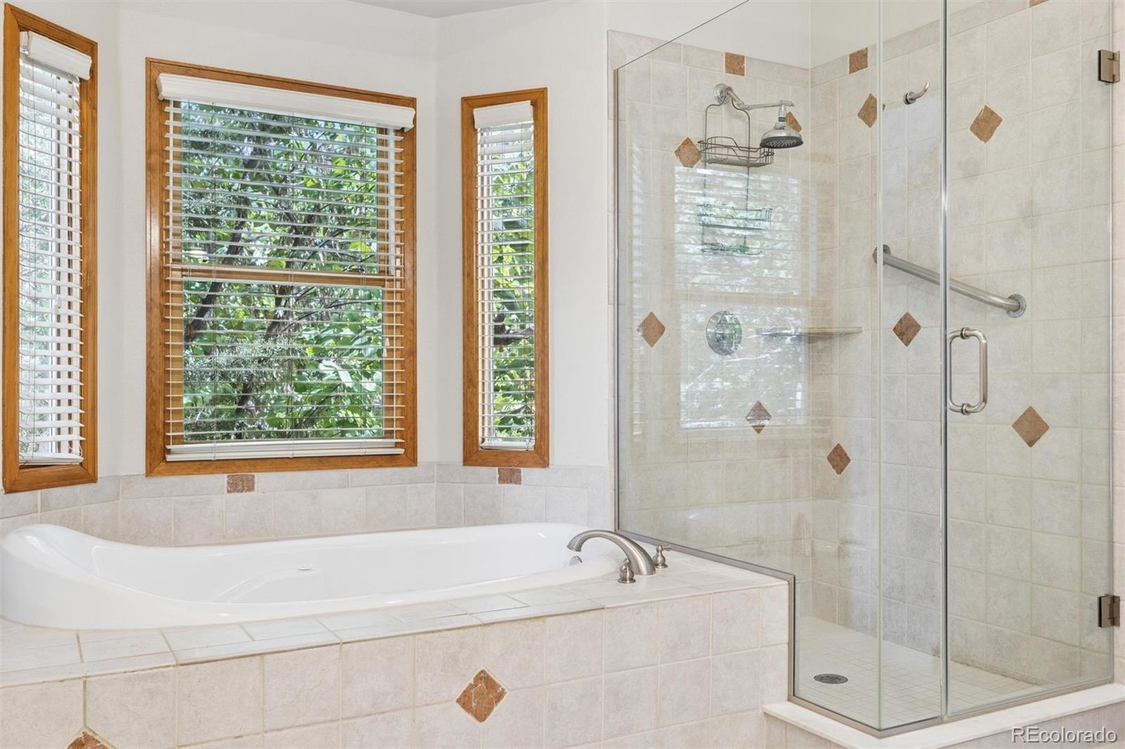 MLS Image #21 for 15888 w 62nd place,golden, Colorado