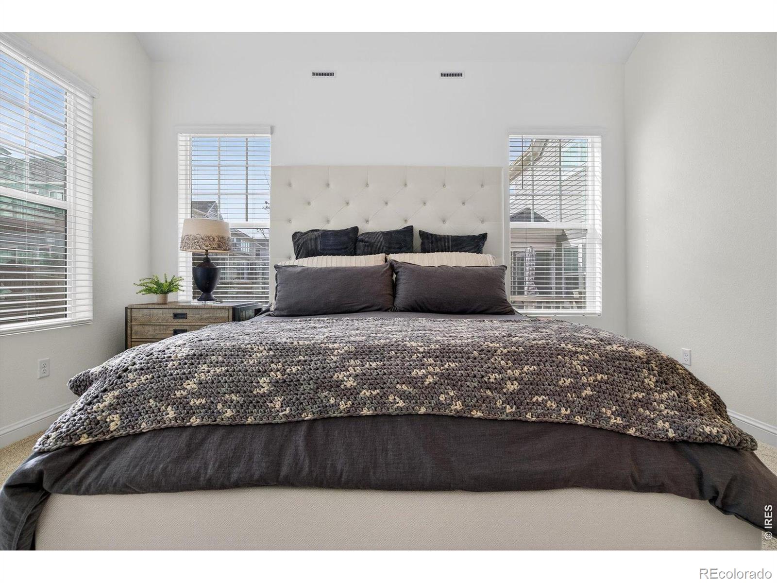 MLS Image #12 for 1830  willow drive,erie, Colorado