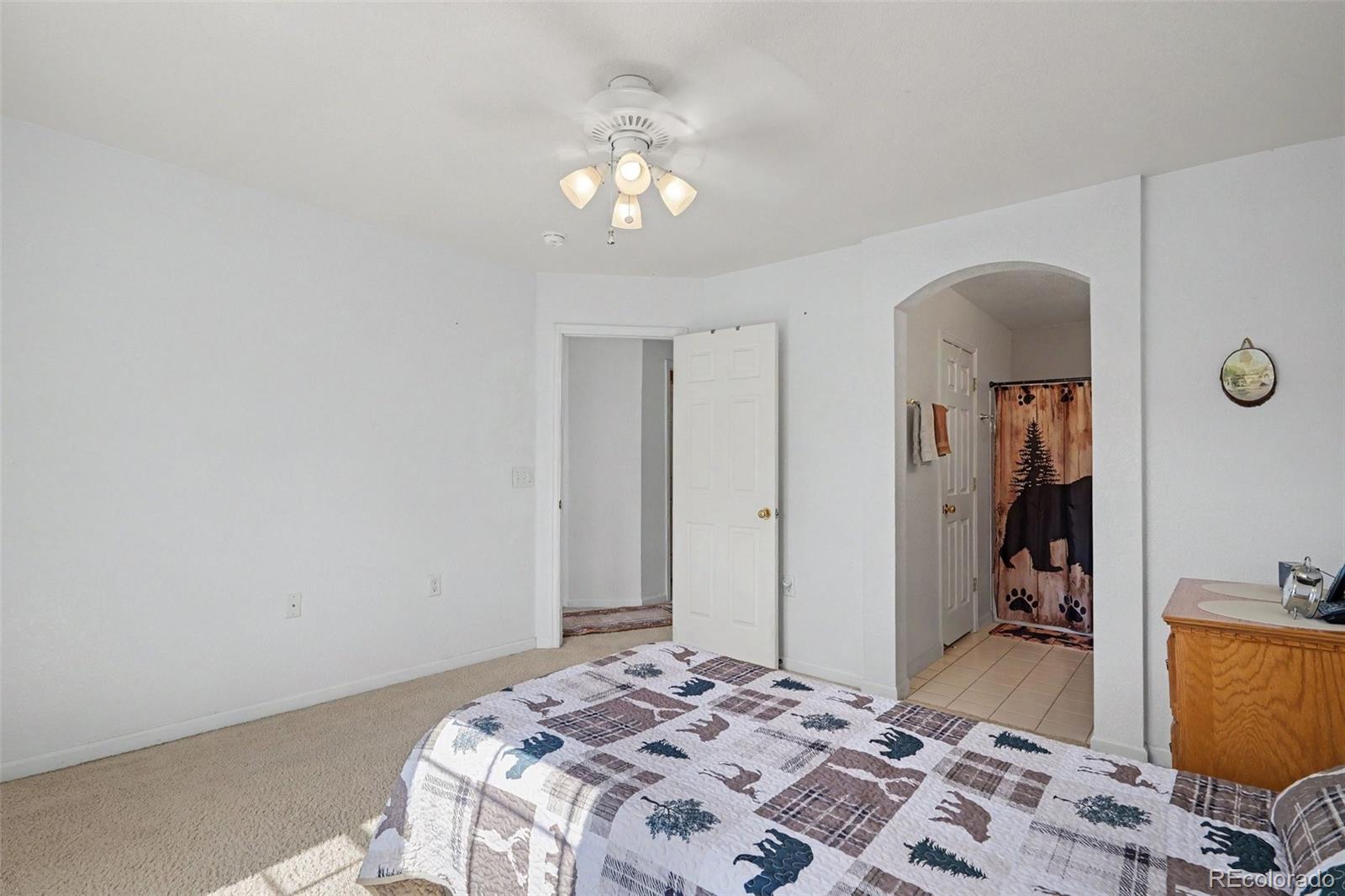 MLS Image #13 for 1469  nemrick place,castle rock, Colorado