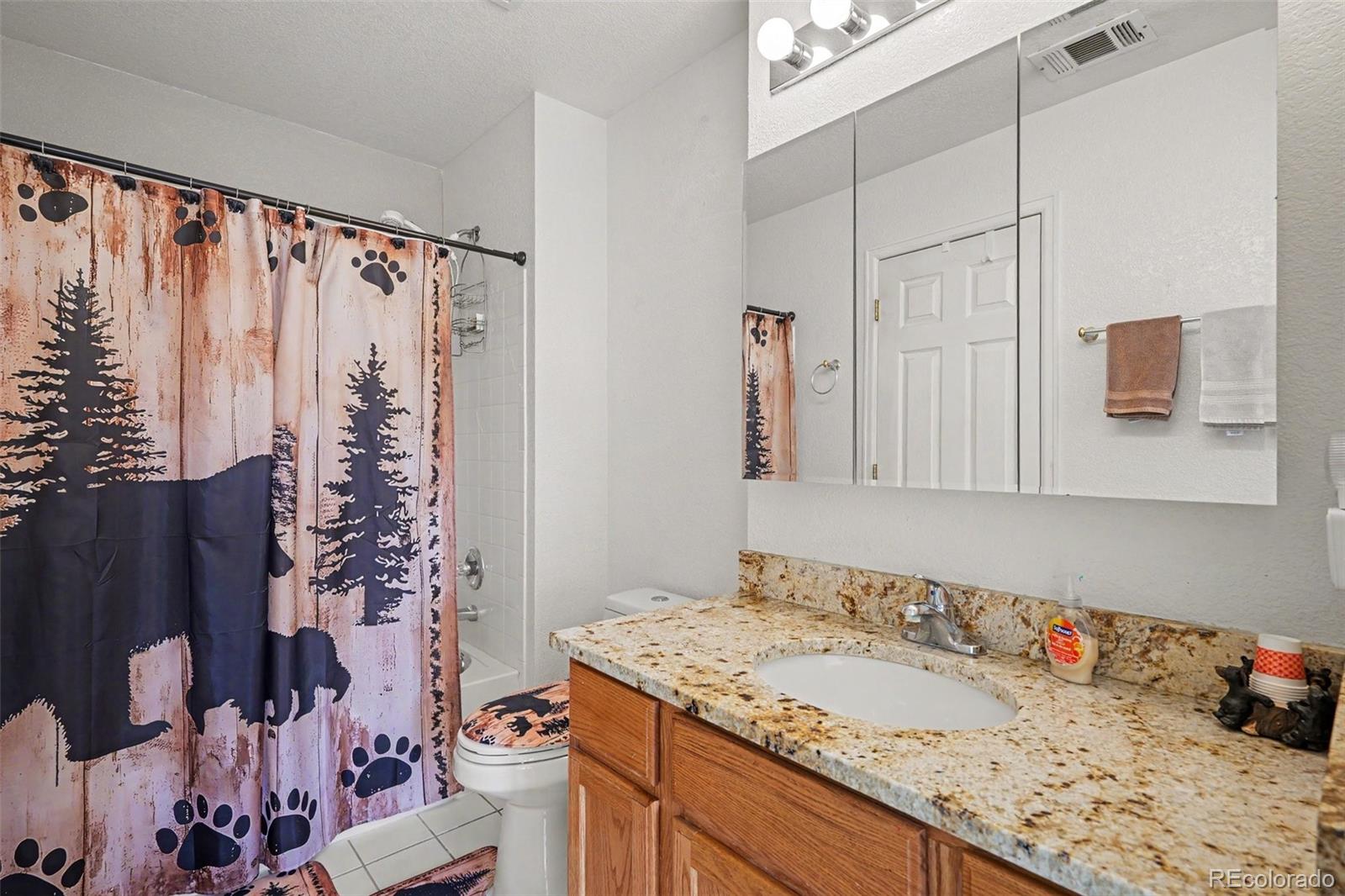 MLS Image #14 for 1469  nemrick place,castle rock, Colorado