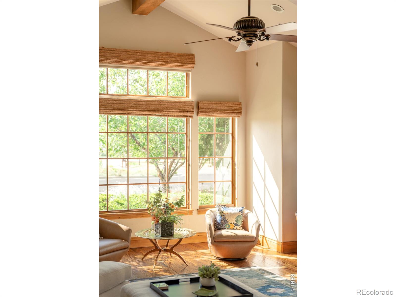 MLS Image #15 for 1036  white hawk ranch drive,boulder, Colorado