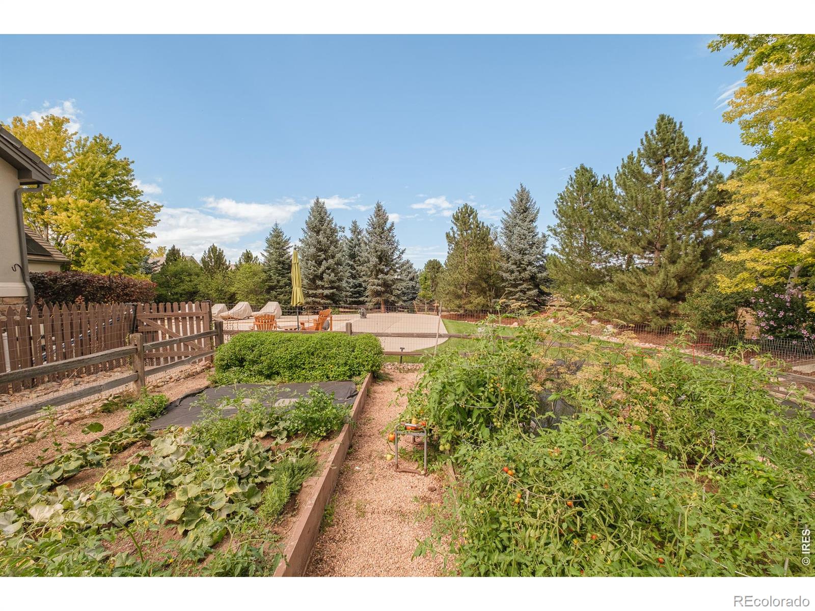 MLS Image #39 for 1036  white hawk ranch drive,boulder, Colorado