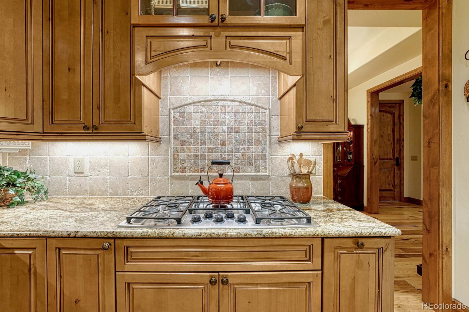 MLS Image #12 for 2713  hawk point court,castle rock, Colorado