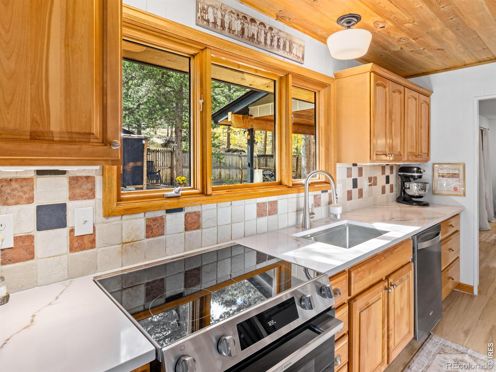 MLS Image #33 for 11982  peak to peak drive,allenspark, Colorado