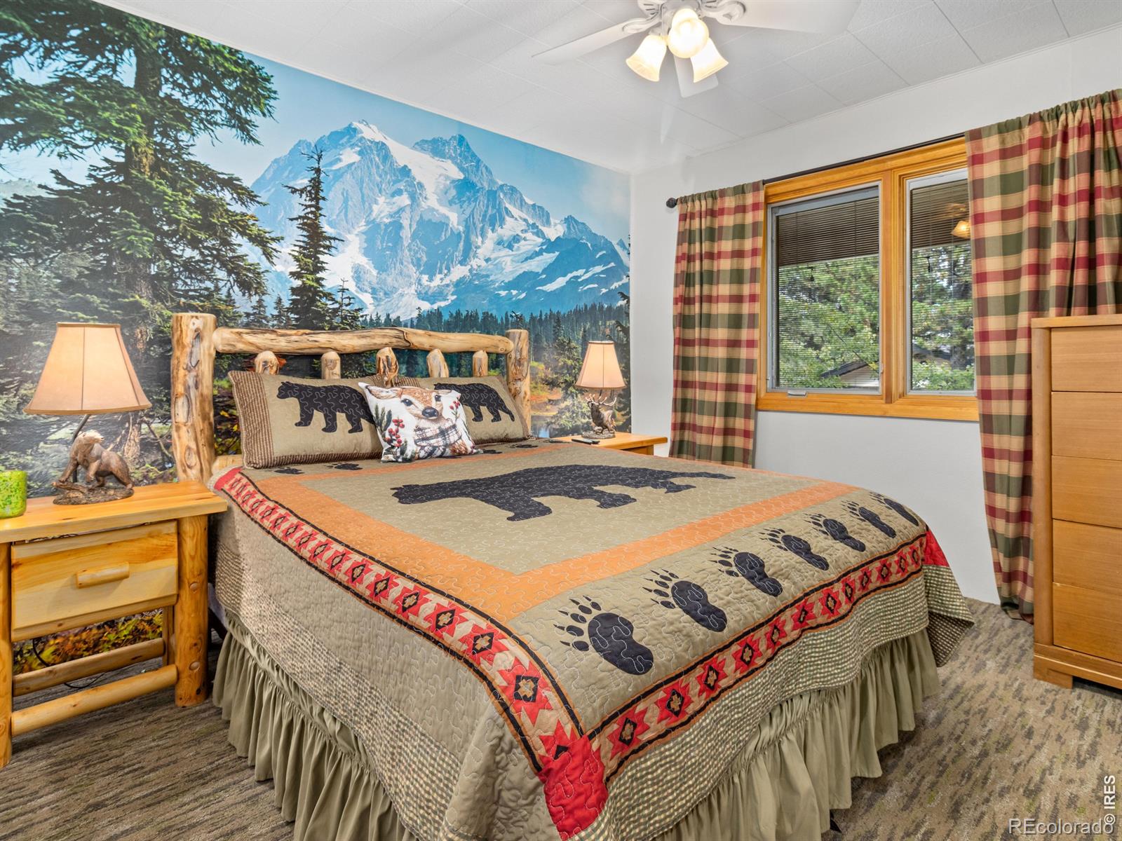 MLS Image #39 for 11982  peak to peak drive,allenspark, Colorado