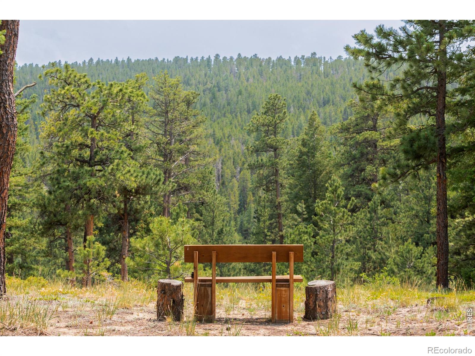 MLS Image #36 for 2001  county road 68 ,nederland, Colorado