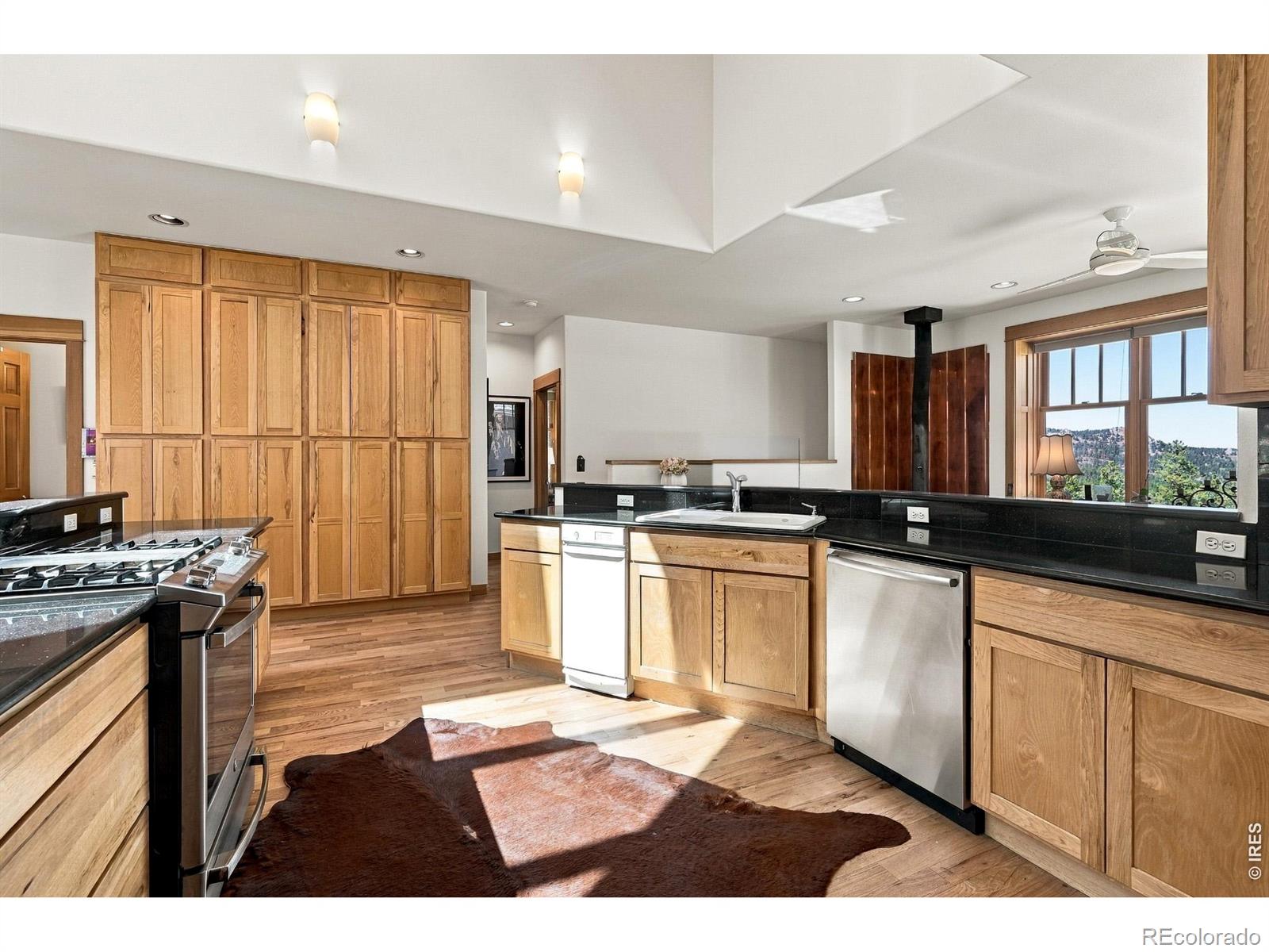 MLS Image #7 for 57  aspen way,nederland, Colorado