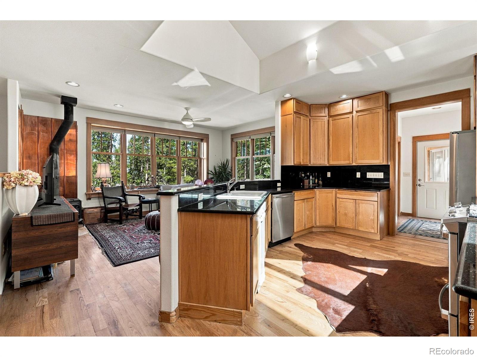 MLS Image #9 for 57  aspen way,nederland, Colorado